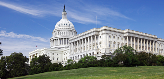 Exterior of a U.S. Capitol building with a blue sky and green lawn.